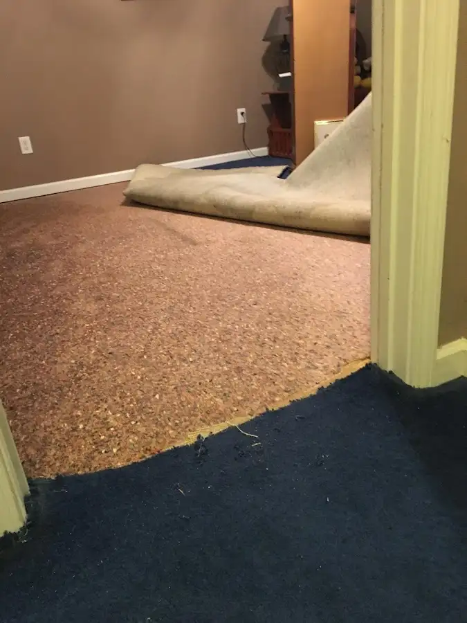 Carpet pad removal revealing water damage during Drying & Dehumidification in South Lebanon